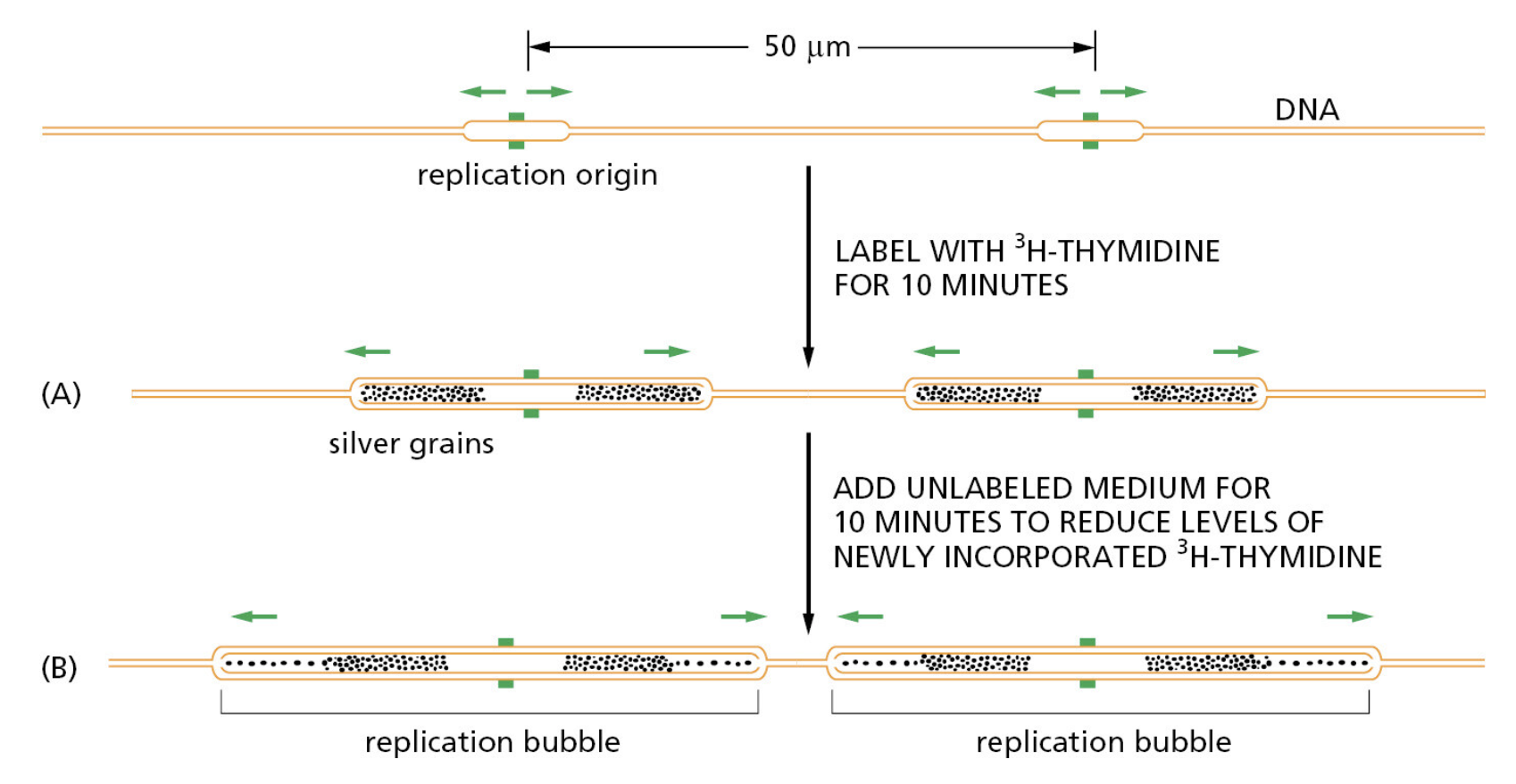 Figure 5-27.png